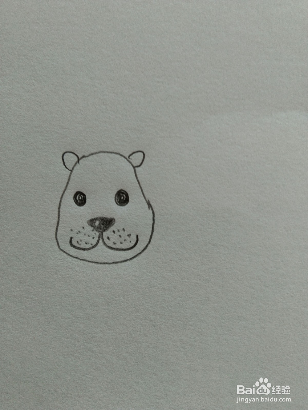 儿童趣味简笔画狮子