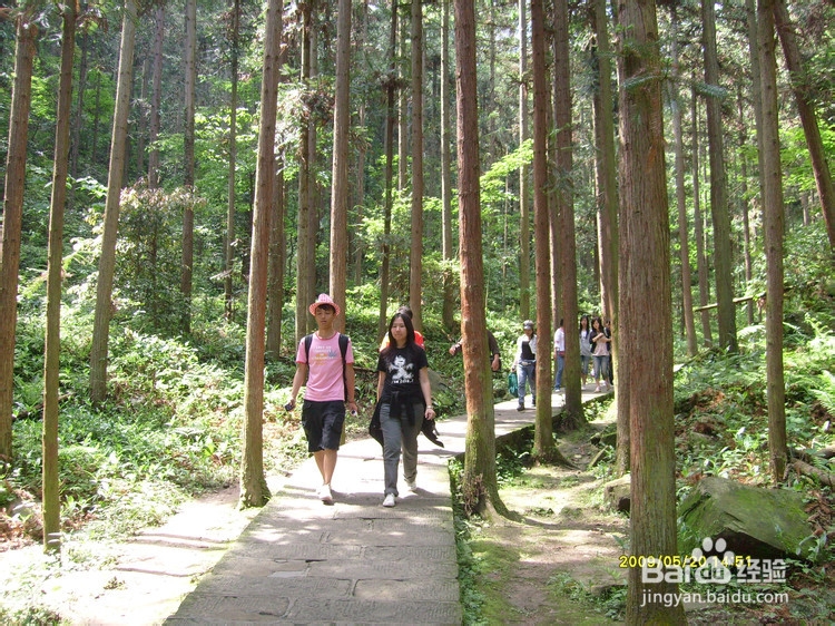 张家界稻草人俱乐部