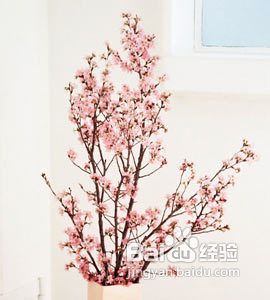 肾盂肾炎发病的原因