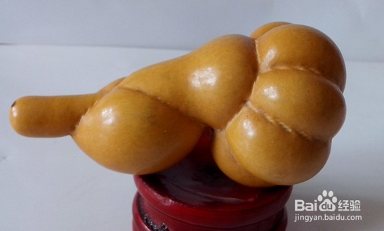 葫芦的各型分类