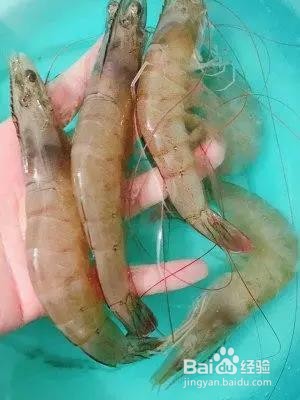 鸡胸肉虾泥蔬菜饼