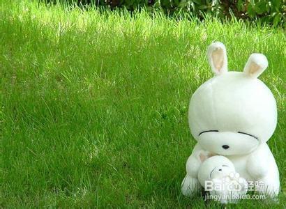 肉肉健身第三步：如何才能让肌肉紧实