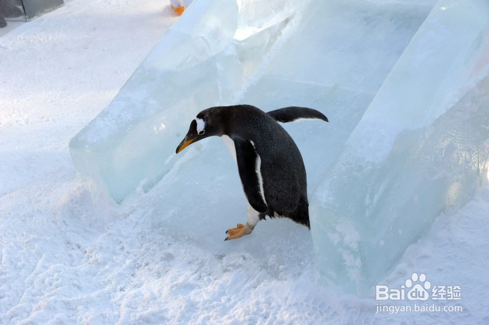 最应该带孩子玩，去的地方？
