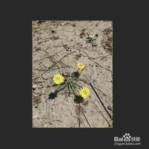 快速调试出高反差的图片