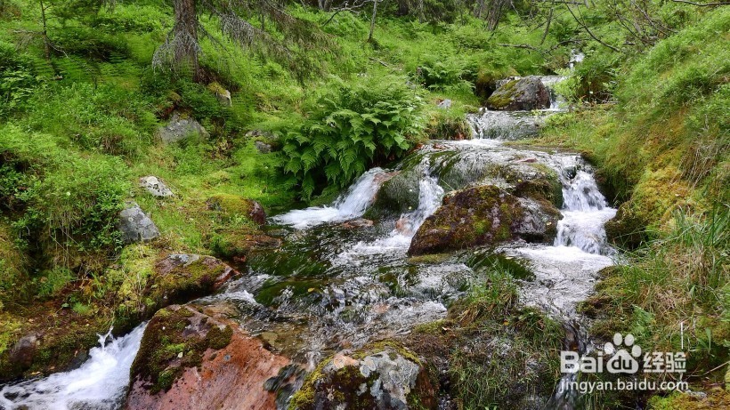 教育培训行业如何做全网营销？