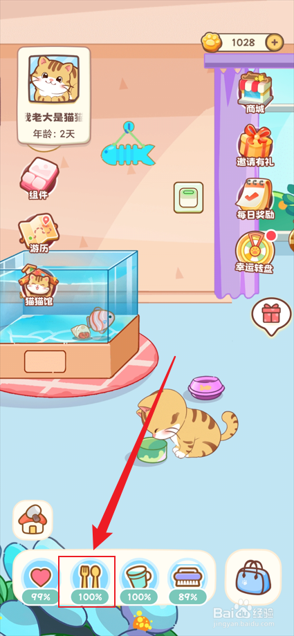 桌面喵app如何投喂小猫