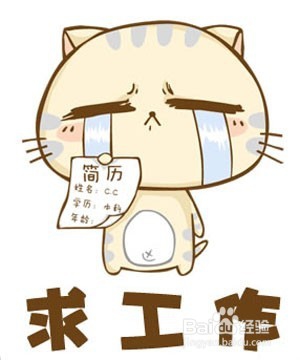怎么面试成功率高