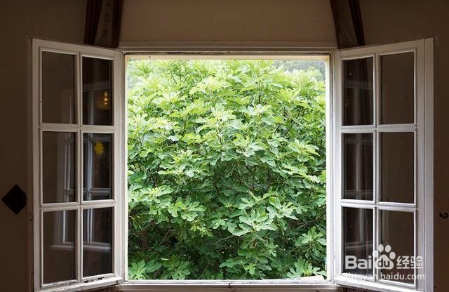 怎么把蜈蚣引出来消灭