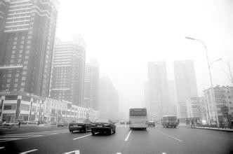 雾天出行该注意什么