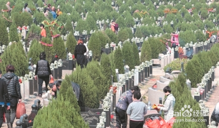 2020年清明节怎么祭扫