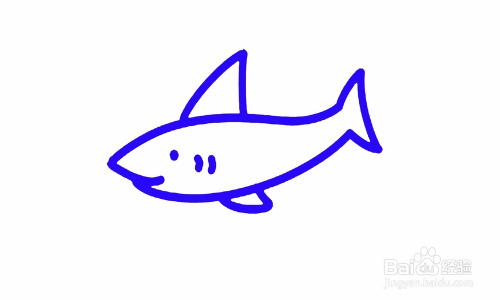 简笔画鲨鱼怎么画?