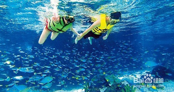 在海岛上不会游泳怎样玩水上项目