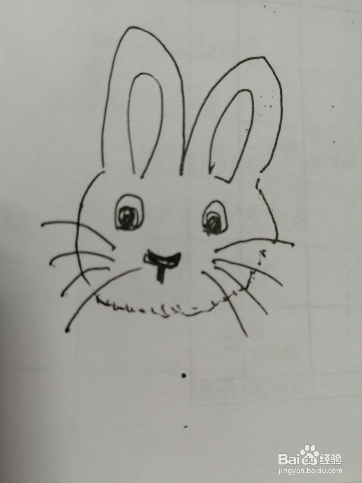 简笔画小白兔怎么画