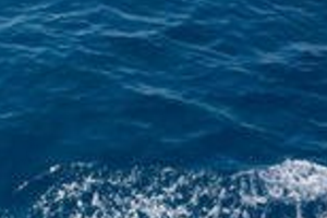海水是什么颜色的