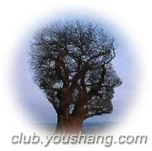 全谷营养米的吃法及其功效