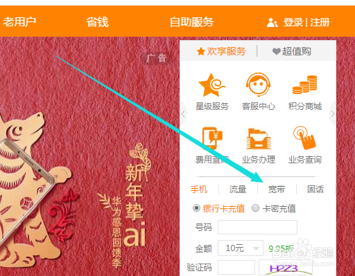 如何在网上交电信宽带费