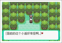 漆黑的魅影攻略