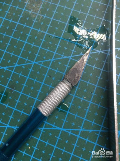 甲虫标本制作的方法 百度经验 甲虫标本制作的方法 百度经验