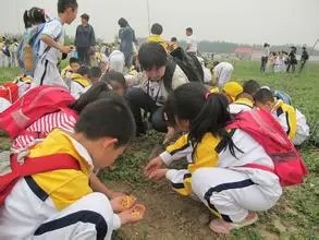 小学生社会实践内容怎么填写 校园分享 百度经验