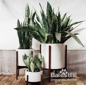 卫生间附近很潮湿 怎么办