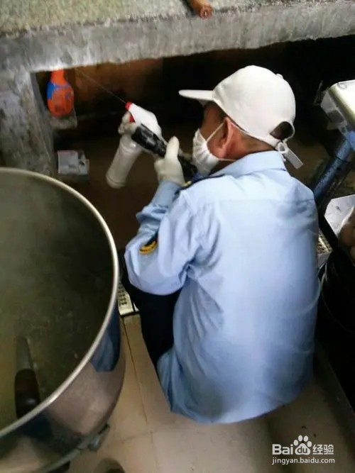 厨房有蟑螂怎么消灭干净