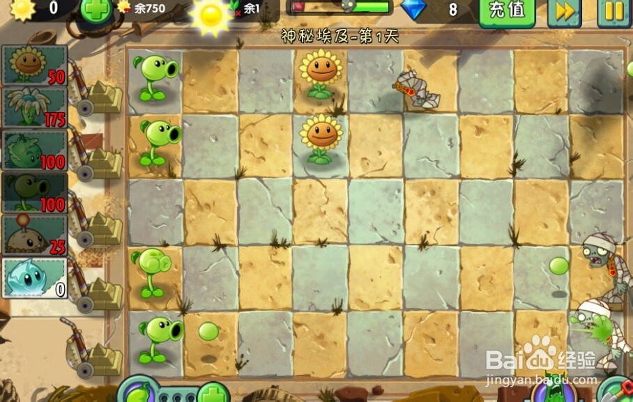 植物大战僵尸2:第1天第3颗星(神秘埃及)