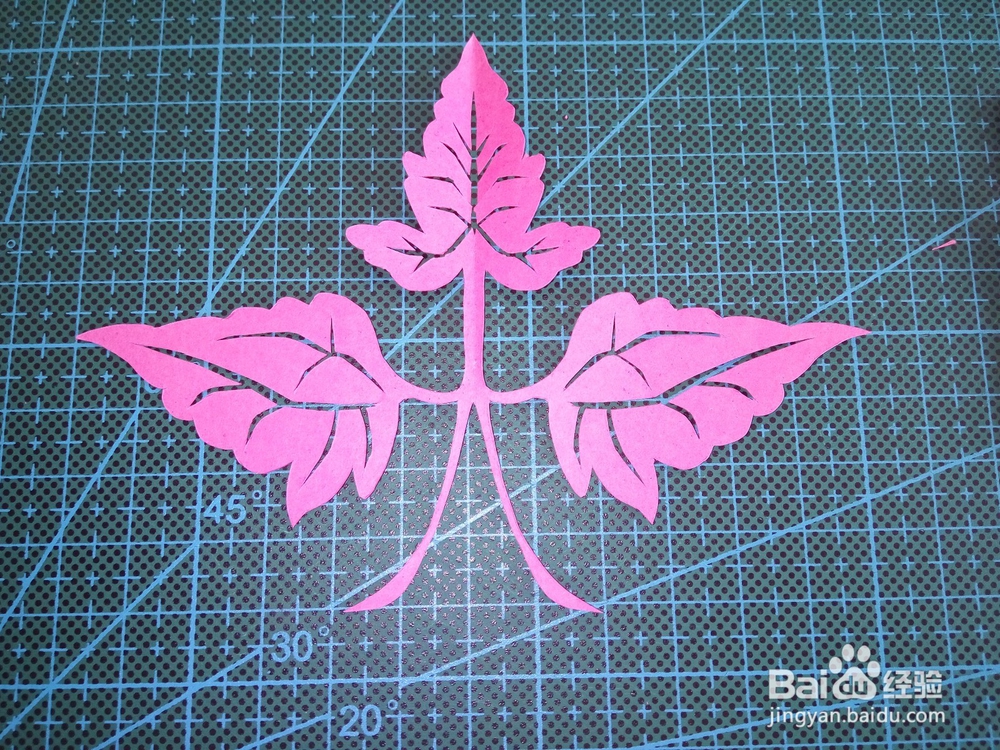 儿童剪纸之爬山虎叶剪纸教程