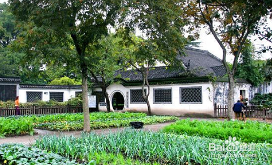 和朋友去绍兴一定要去的地方