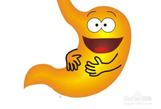 消化液有什么主要功能