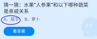 蚂蚁庄园2024年5月18日:和人参果有关系的蔬菜