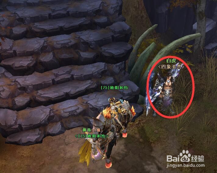 龙神契约的白虎在哪里