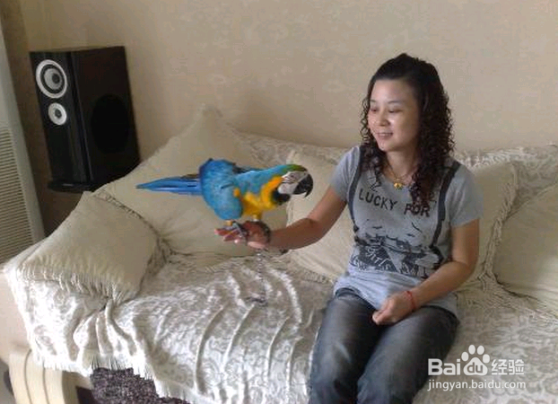 职场:哪些证书含金量最高？告别死工资！