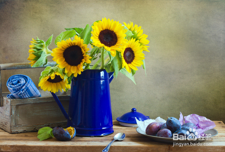 摄像如何快速入门