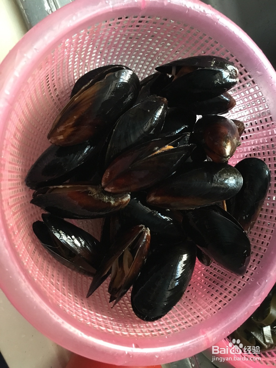 萌萌贻贝意面的做法