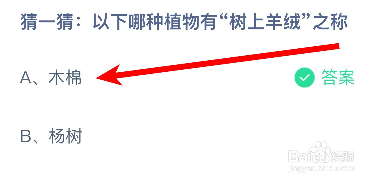 以下哪种植物有“树上羊绒”之称蚂蚁庄园答案