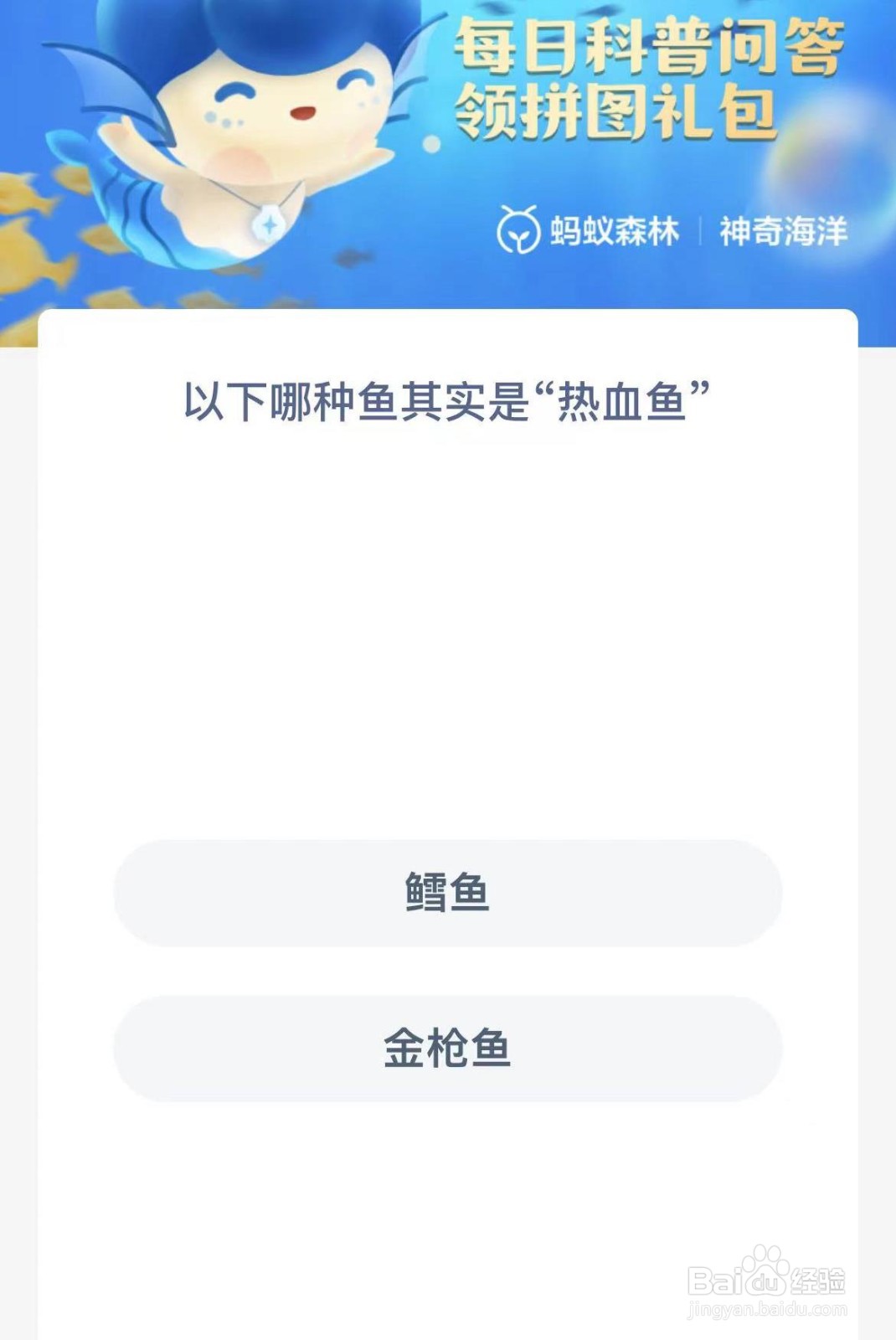 以下哪种鱼其实是热血鱼 神奇海洋1.6