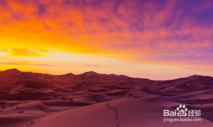 如果想去撒哈拉沙漠，需要准备什么呢？