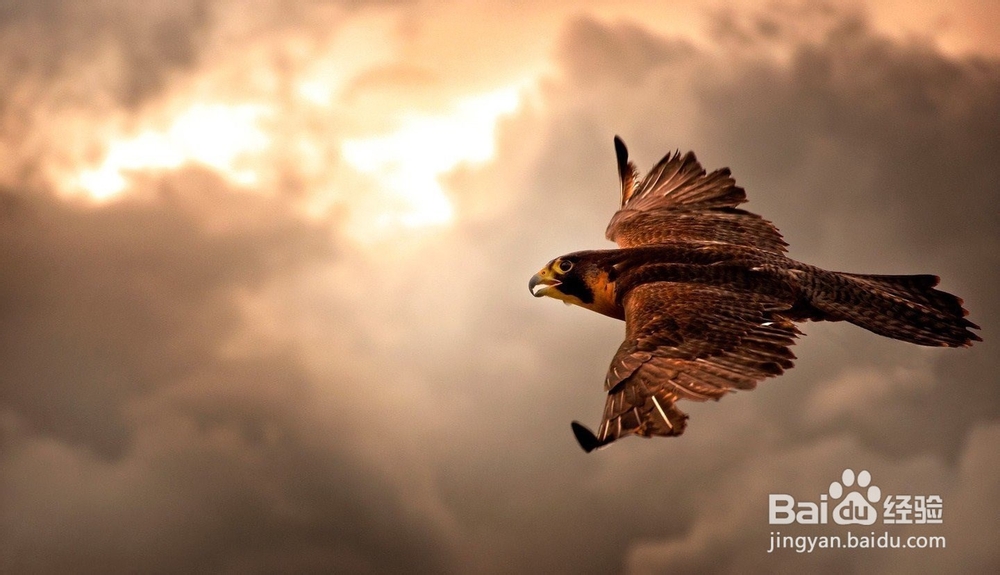 炒股心态如何培养