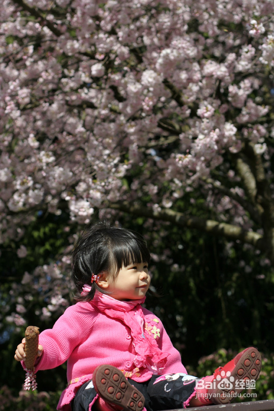 菲比带你看加国--空中列车&樱花（图）