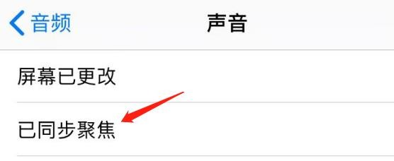 怎么查看iPhone旁白中的同步聚焦