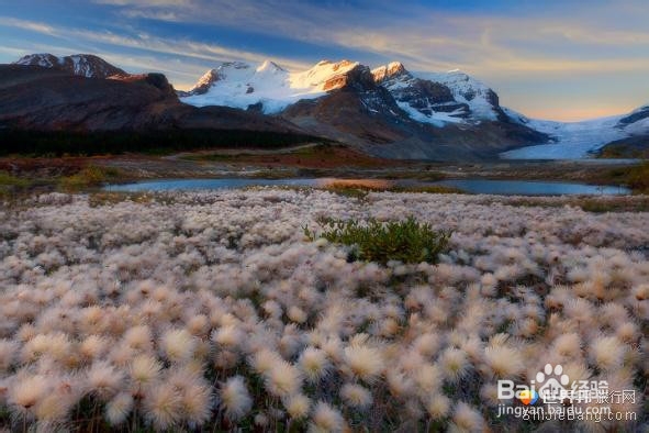 加拿大不能被遗忘的那些地方
