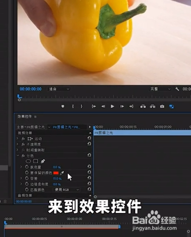 如何在视频里保留单色