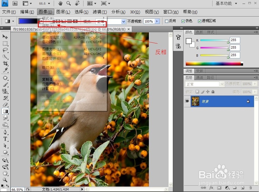 PS技巧大全：[13]