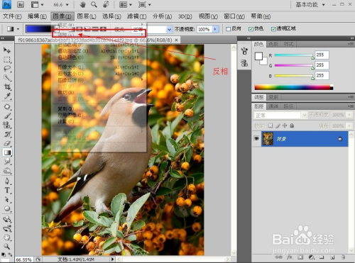 PS技巧大全：[13]