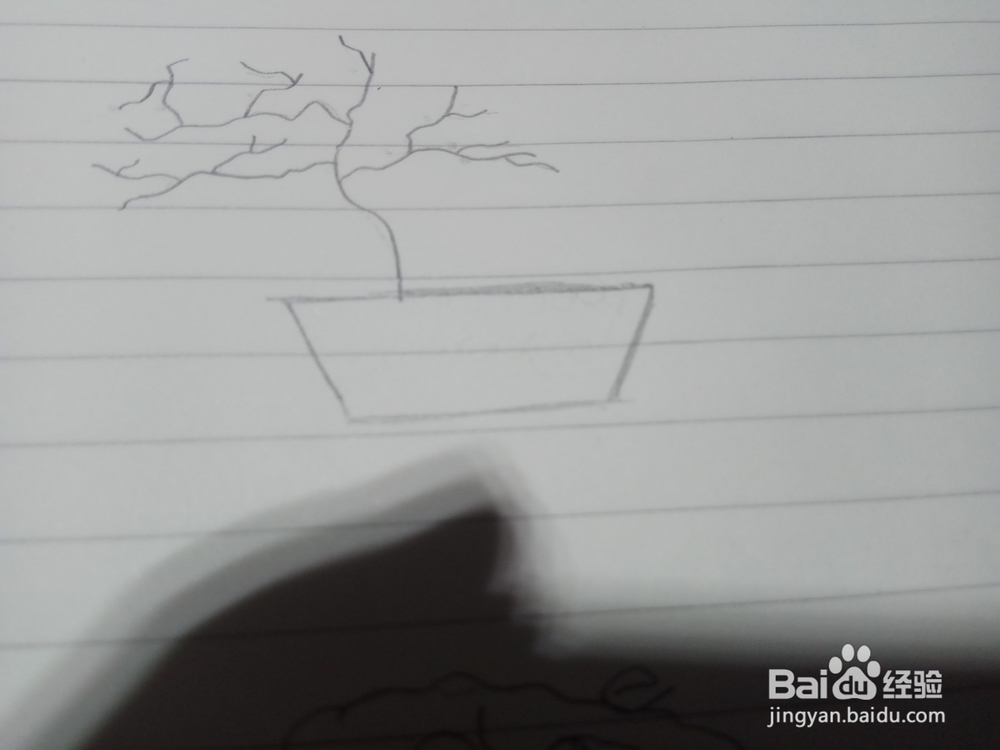 如何画盆栽梅花