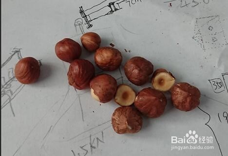 如何夹榛子/如何使用坚果夹子/榛子去壳