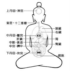 什么是丹田,丹田具体位置如何确定