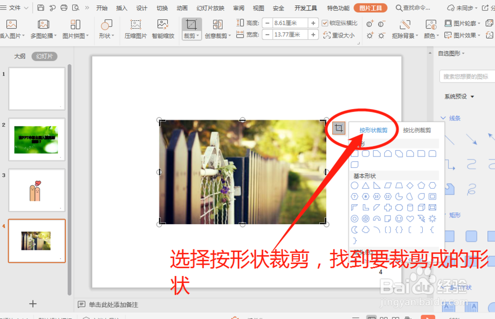 在PPT中怎么把图片裁剪成不同的形状？