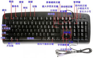电脑F1~F12键有什么用