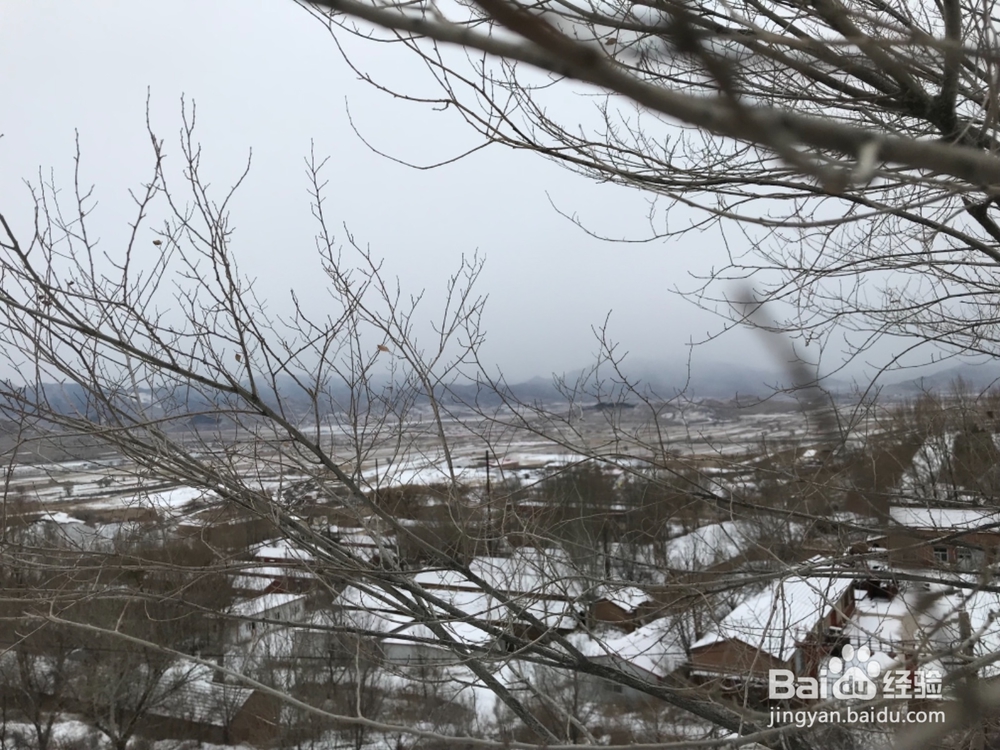 怎样拍摄风雪中的景色